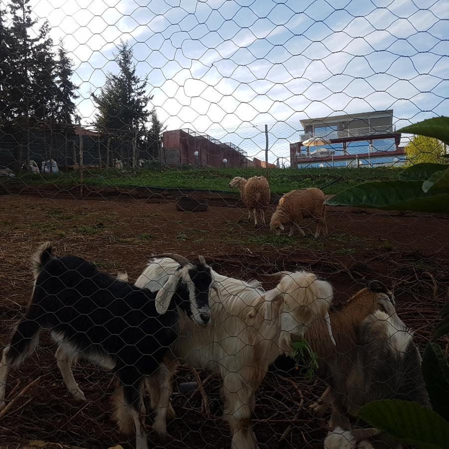 Ferme Bouhouch Leilighet Oulad Yakoub Eksteriør bilde