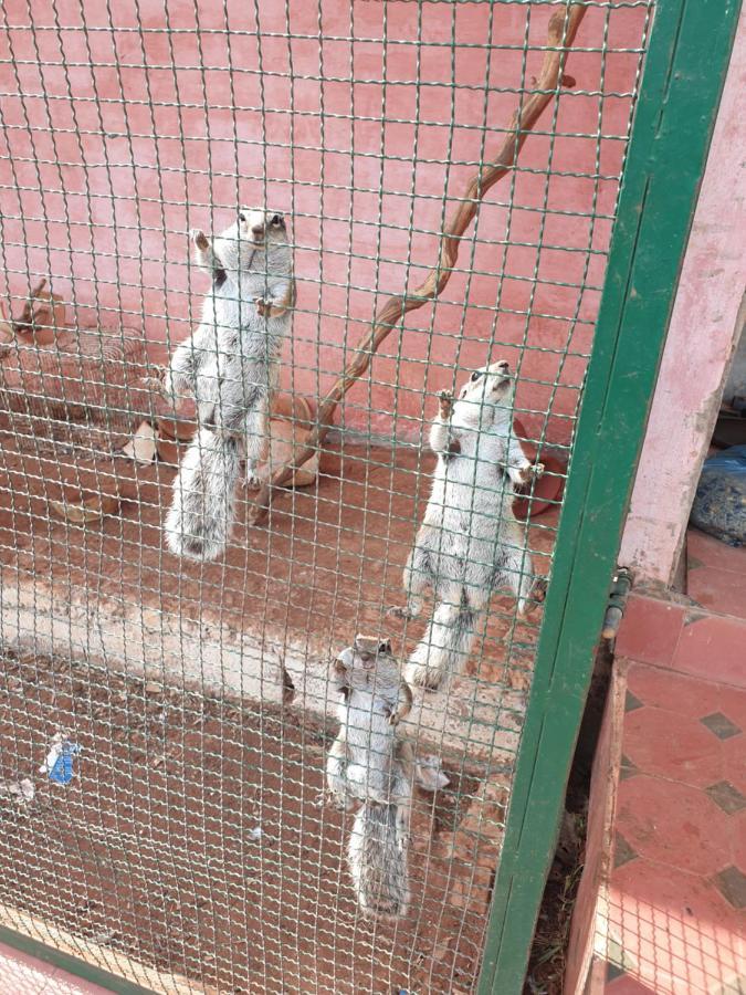 Ferme Bouhouch Leilighet Oulad Yakoub Eksteriør bilde