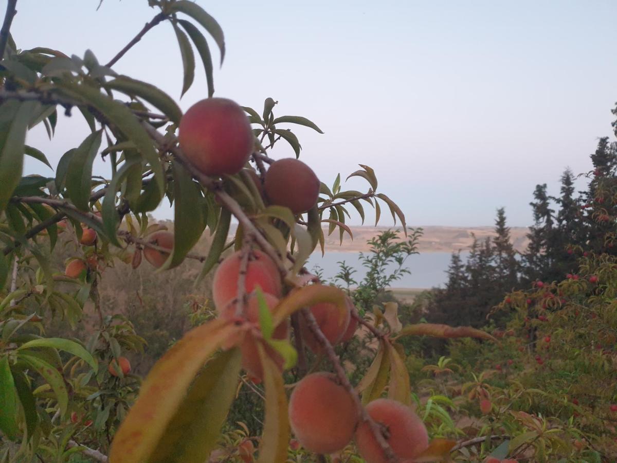 Ferme Bouhouch Leilighet Oulad Yakoub Eksteriør bilde