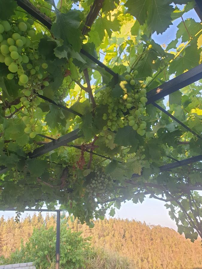 Ferme Bouhouch Leilighet Oulad Yakoub Eksteriør bilde