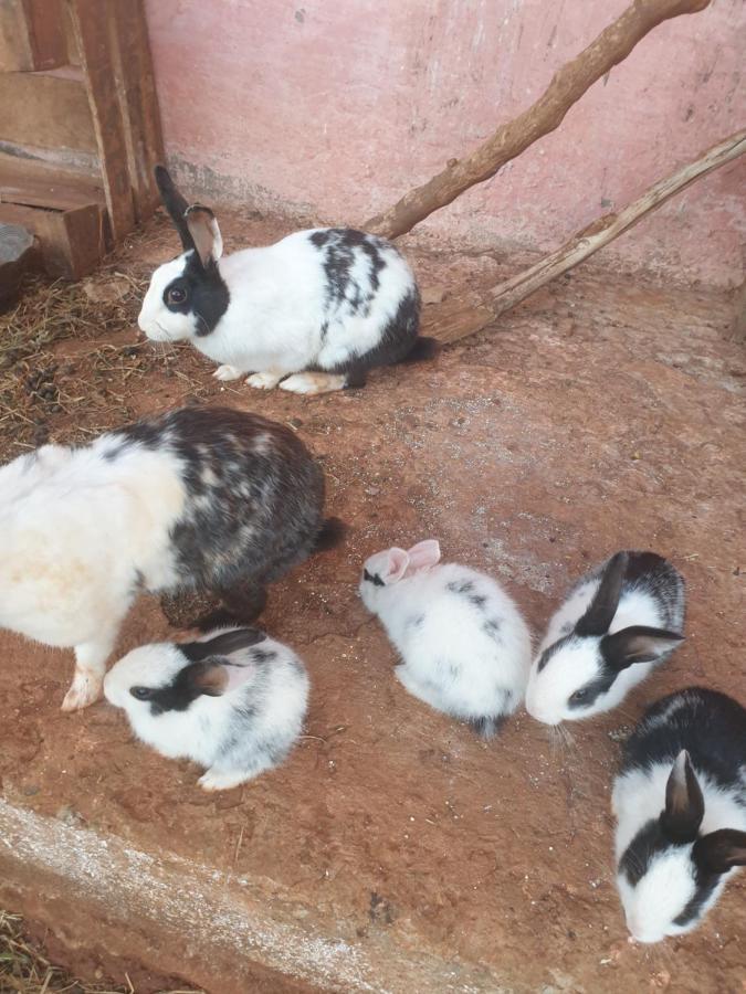 Ferme Bouhouch Leilighet Oulad Yakoub Eksteriør bilde